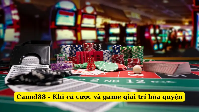 Camel88 - Khi cá cược và game giải trí hòa quyện