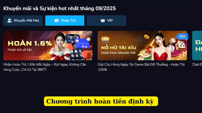 Chương trình hoàn tiền định kỳ 